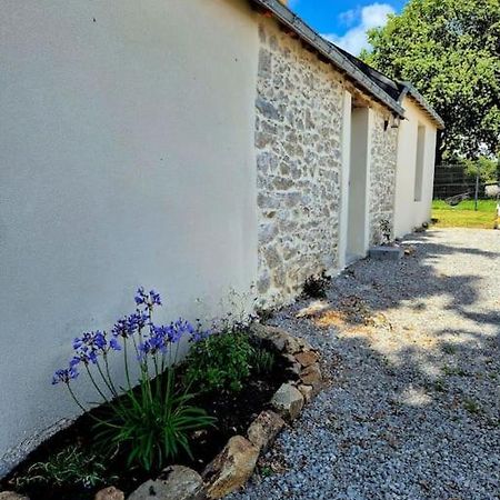 Gite De Felicite, Calme Et Nature Savenay Exteriör bild